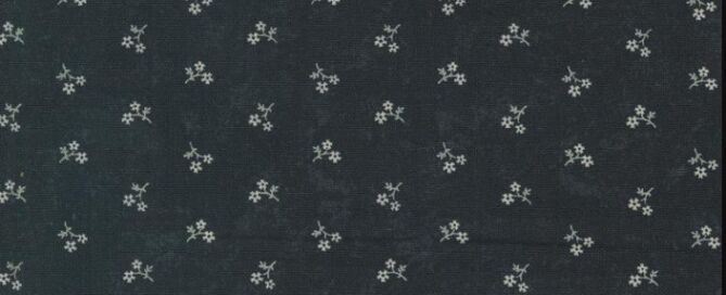 Pickwick Creations Moda Blackbirds Nest Black 9755 19
