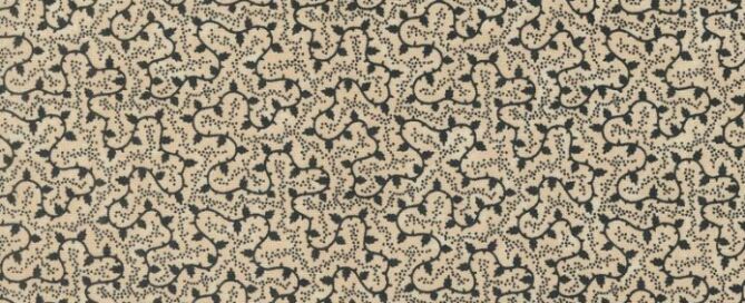 Pickwick Creations Moda Blackbirds Nest Tan 9757 11